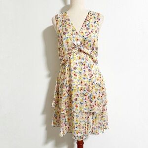 Banana Republic Floral Striped Double Ruffle Dress